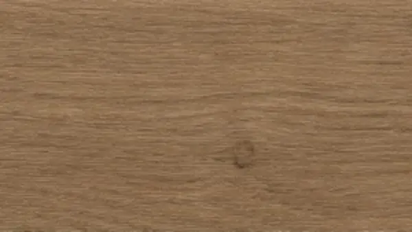 Ирландский дуб 167