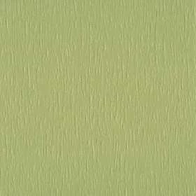 Сиде 5586 зеленый 89 мм