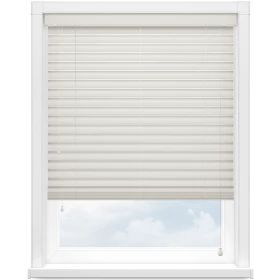 Полоса павловния магнолия 2