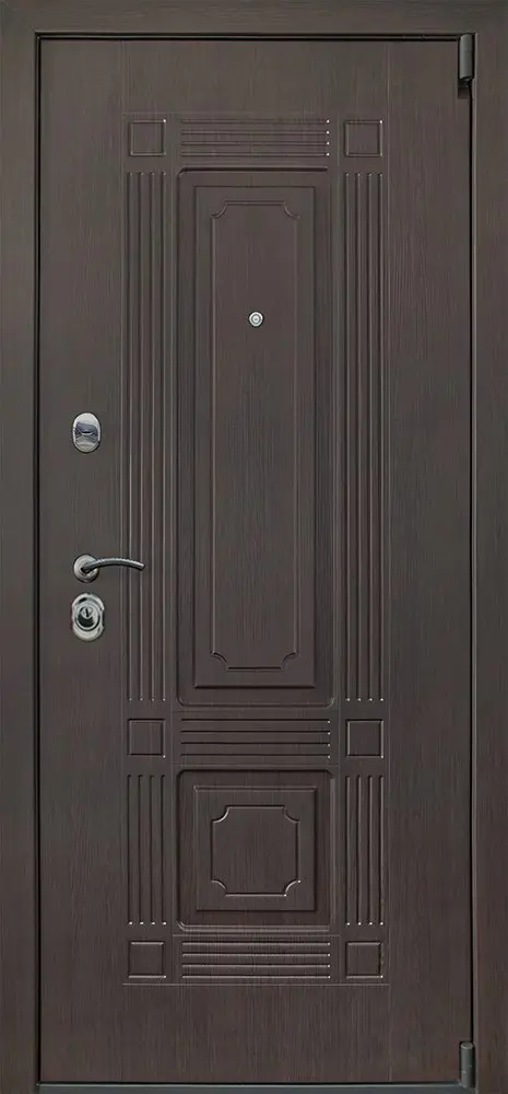 Стальная дверь Викинг