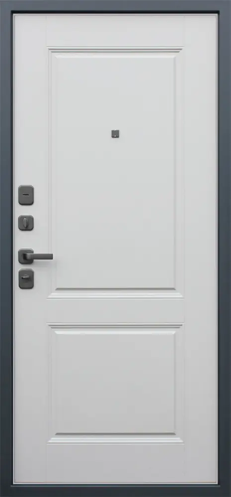 Стальная дверь Барселона