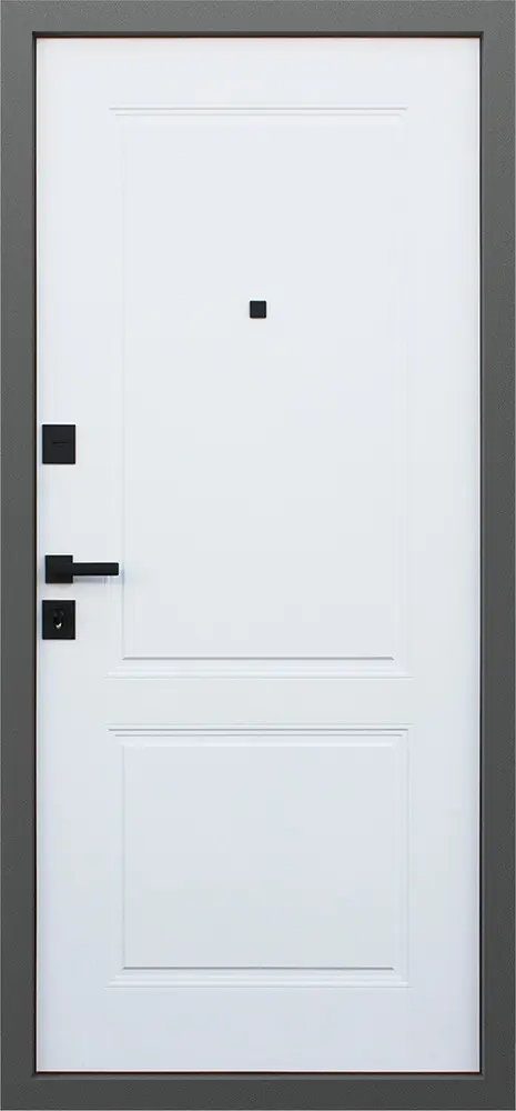 Стальная дверь Интер