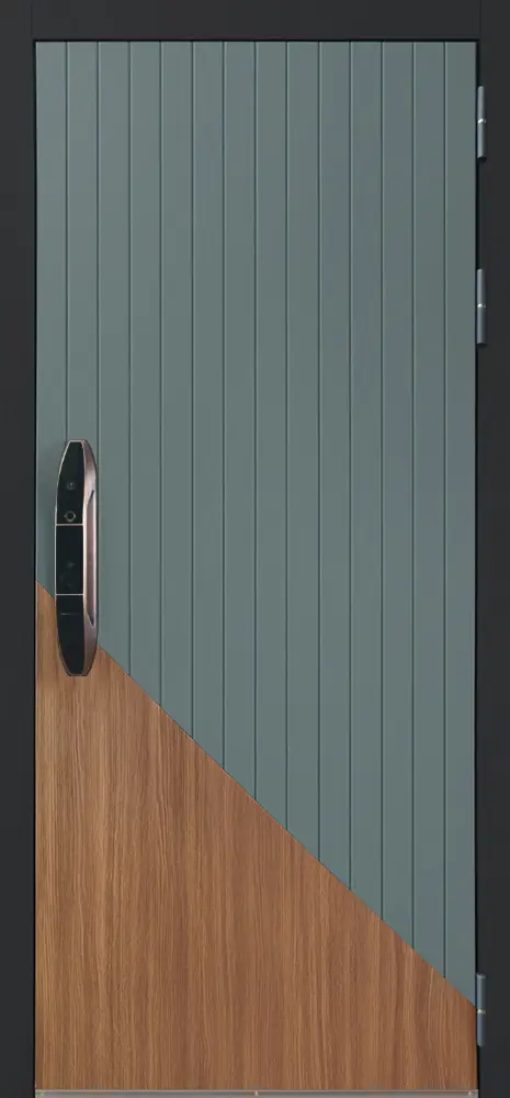 Стальная дверь Эрвин