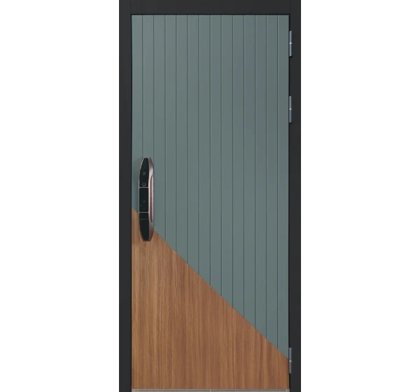 Стальная дверь Эрвин