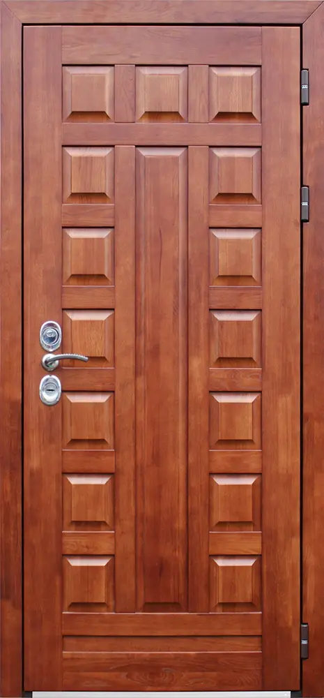 Стальная дверь Массив