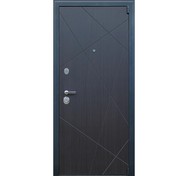 Стальная дверь Вектор