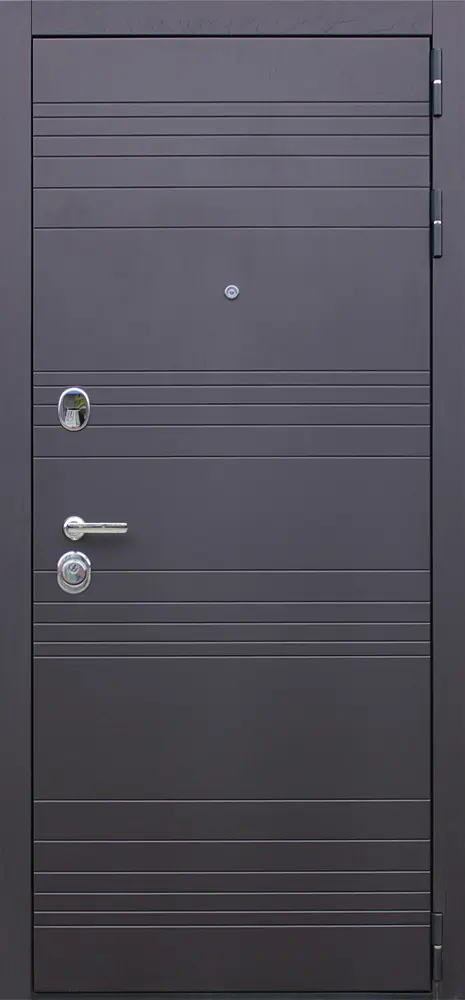 Стальная дверь Дуэт 2