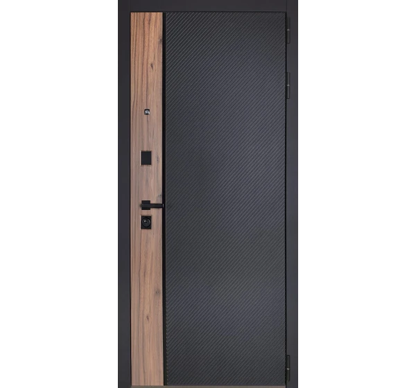 Стальная дверь Planum
