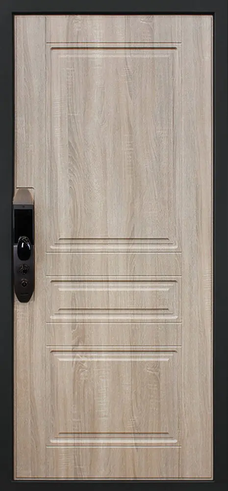 Стальная дверь Фиджи