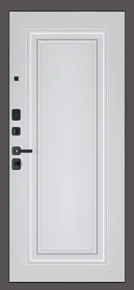 Стальная дверь Амур