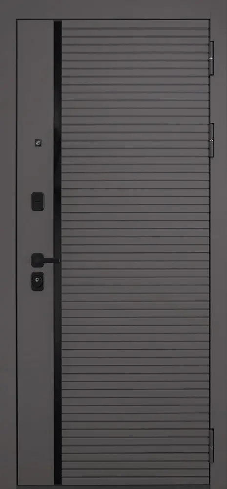 Стальная дверь Амур