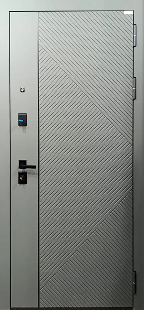 Стальная дверь Лига